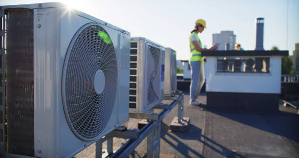 Air Duct Mold Removal in Alexandria, AL