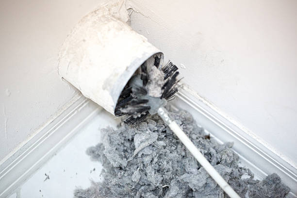 Best Affordable Air Duct Cleaning  in Exandria, AL