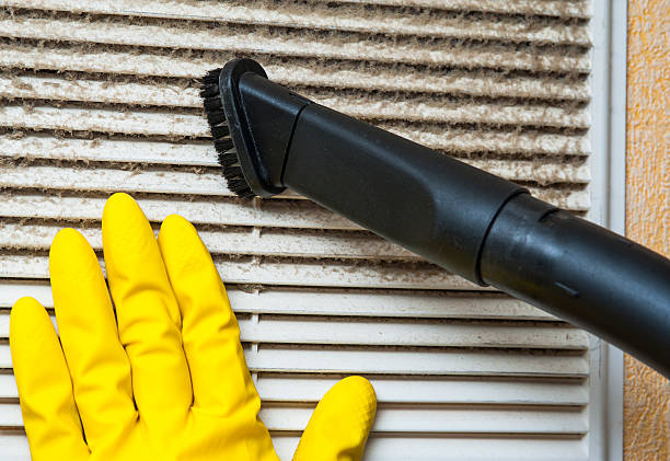 Best Air Duct Mold Removal  in Exandria, AL